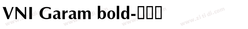 VNI Garam bold字体转换